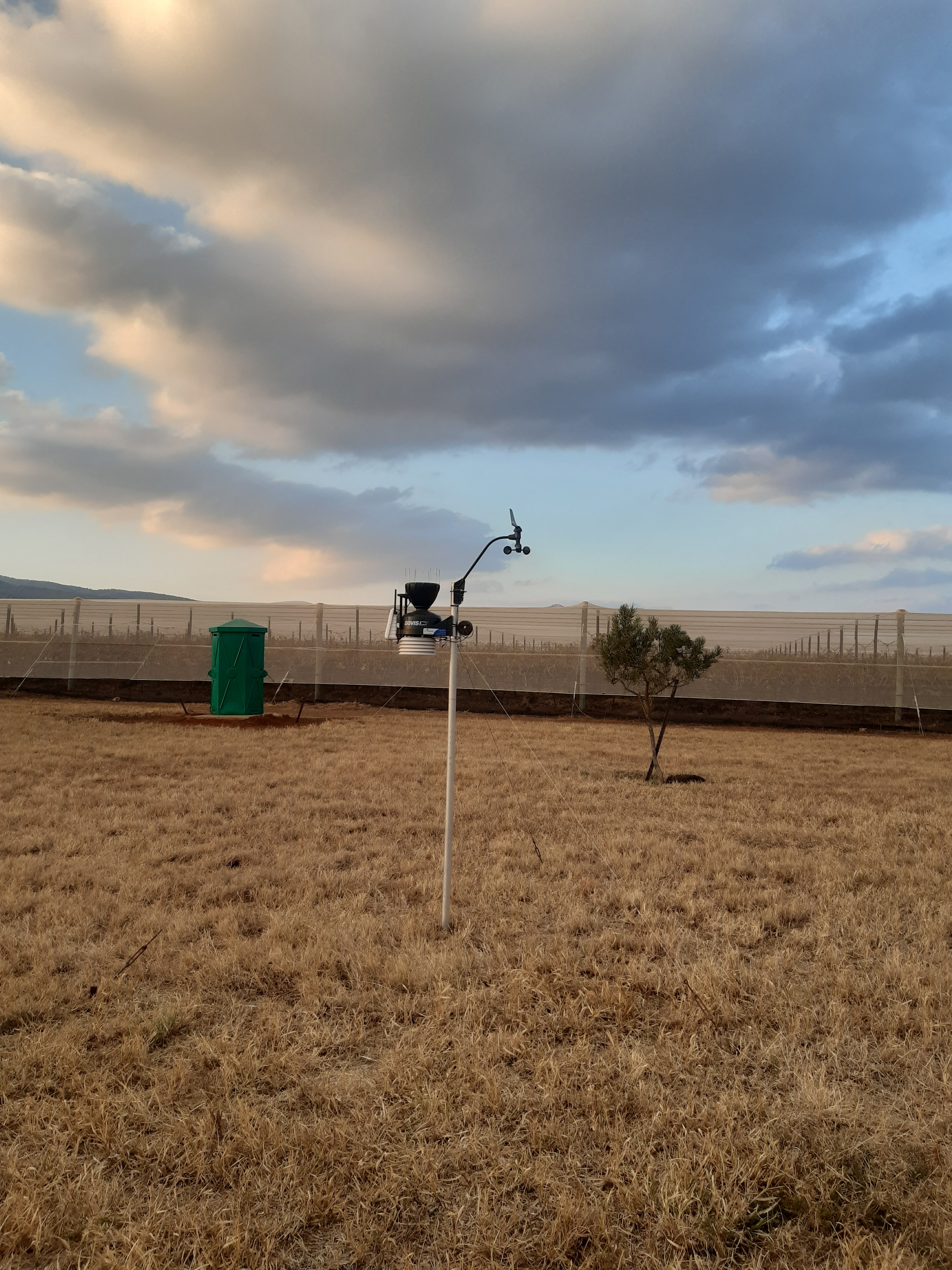 AgriConsult Services